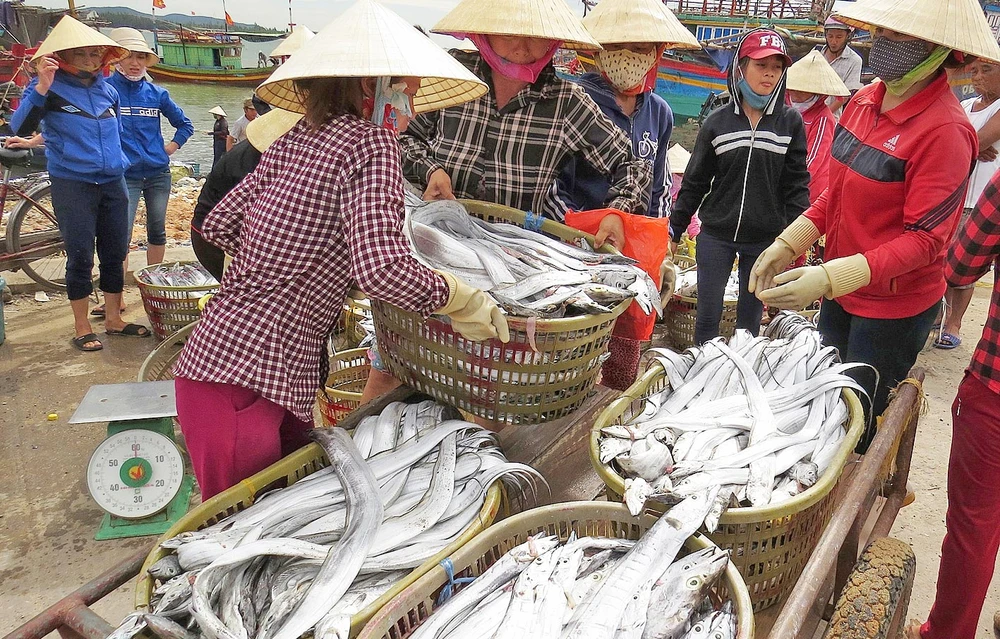 Nghề đánh bắt cá hố ở làng Cảnh Dương duy trì gần 400 năm qua 