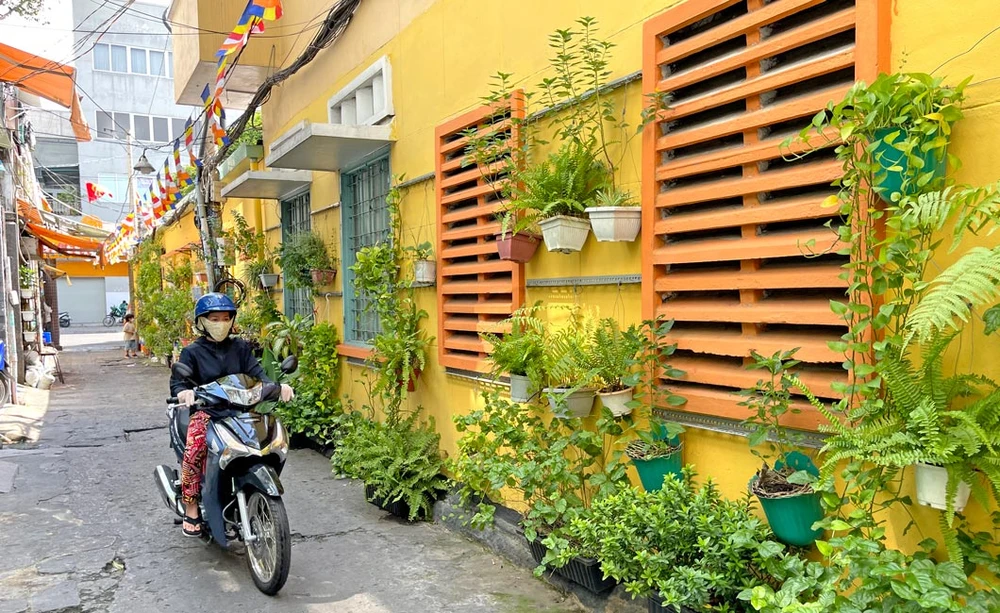 Bức tường xanh sống động giữa lòng thành phố tại hẻm 80 đường Cao Thắng, quận 3, TPHCM. Ảnh: Hoàng Hùng