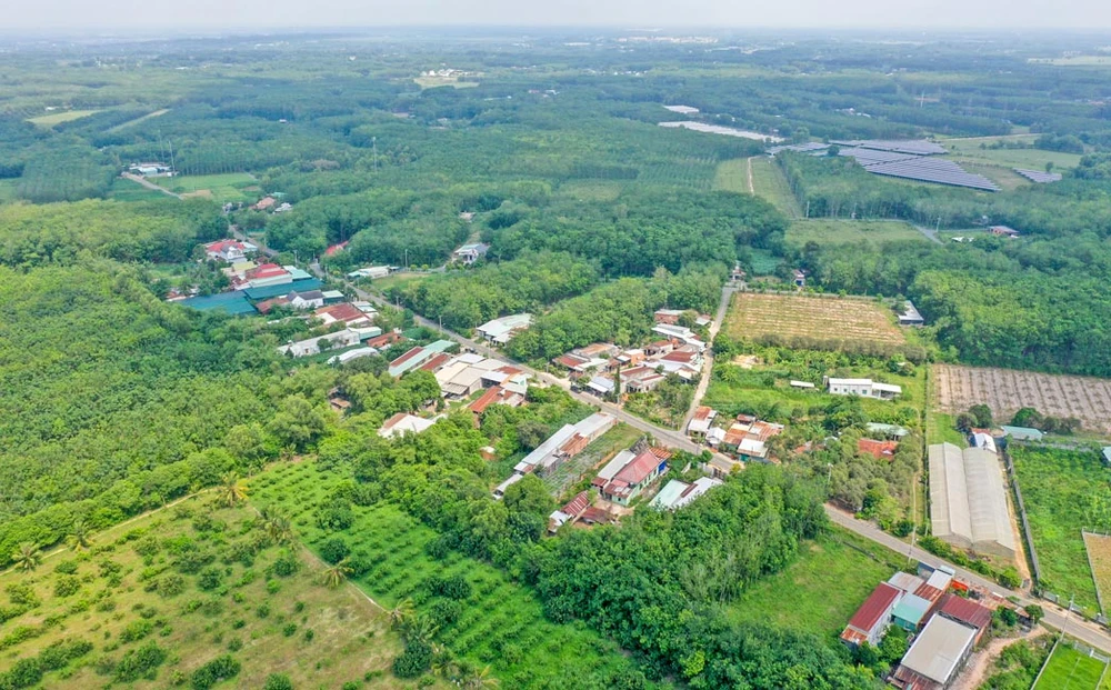 Nhiều diện tích đất nông nghiệp tại huyện Củ Chi, TPHCM đang bị bỏ hoang.