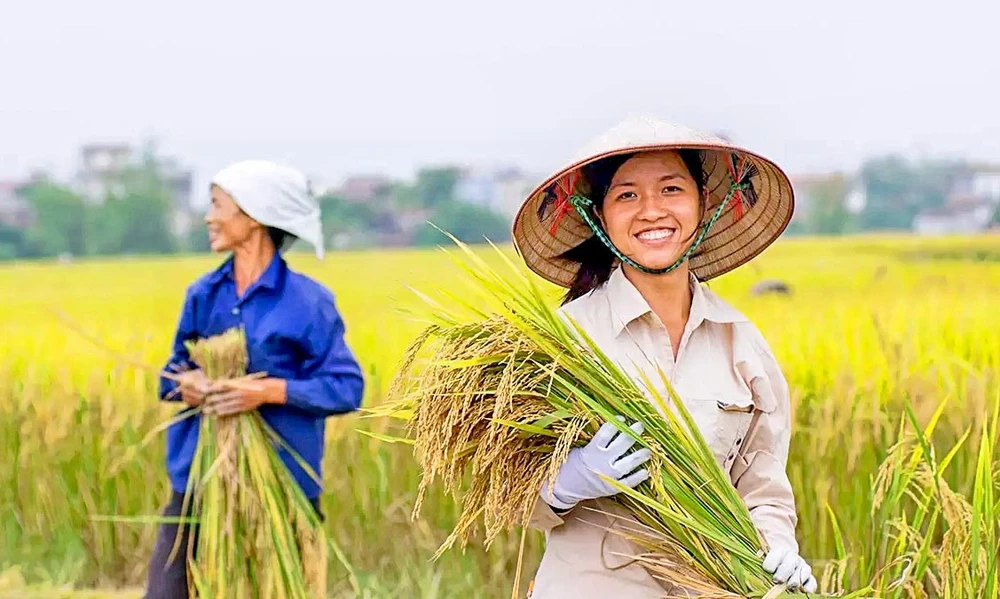 Thị trường gạo xuất khẩu đón nhận nhiều tin tức tích cực đã đem lại niềm vui lớn cho NĐT đang nắm giữ nhóm CP ngành nông nghiệp.