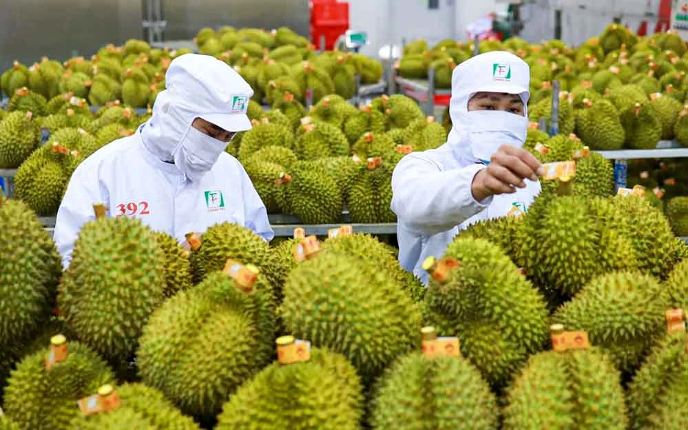 Việt Nam đang có nhiều cơ hội mở rộng xuất khẩu mặt hàng nông sản, thực phẩm sang ASEAN