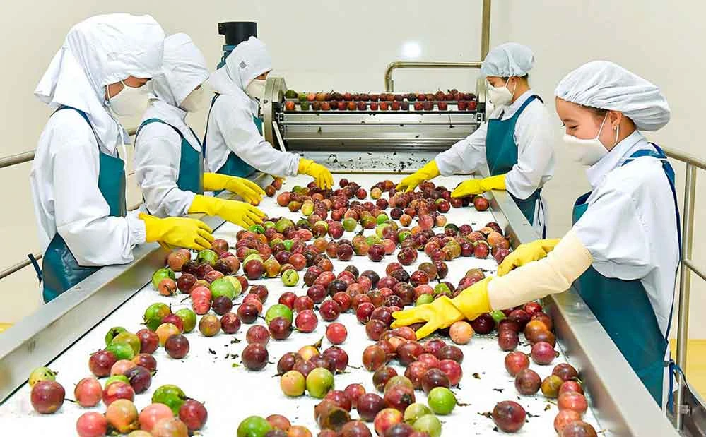 Chanh dây là loại trái cây tiếp theo của Việt Nam xuất khẩu chính ngạch vào Trung Quốc.