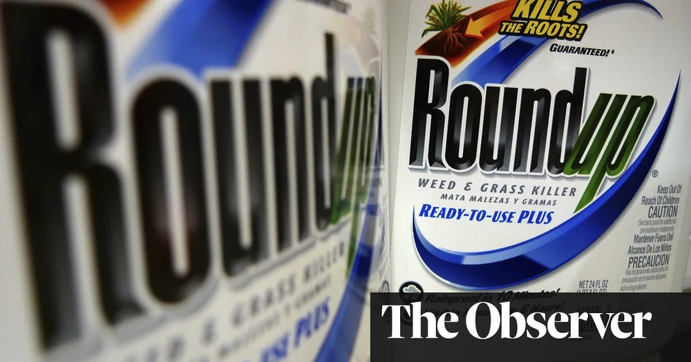 Thành phần glyphosate có trong thuốc diệt cỏ Roundup được tìm thấy trong bánh mì bán tại Anh (Ảnh : The Guardian) 