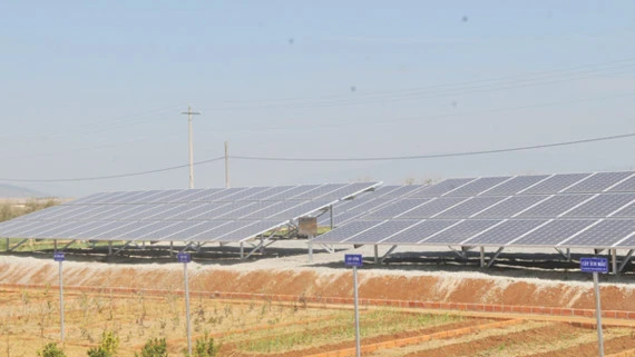 Hệ thống điện mặt trời tại một trang trại ở tỉnh Lâm Đồng. Ảnh: THÀNH TRÍ