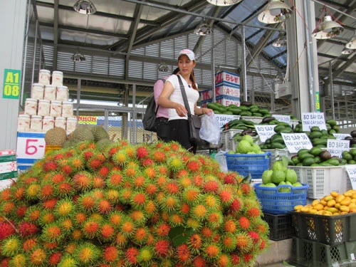 Nông sản Việt xuất khẩu đang gặp nhiều khó khăn bởi hàng rào kỹ thuật của các nước