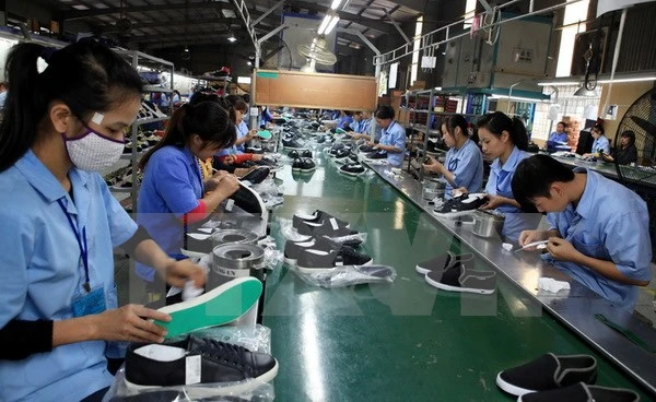 Sản xuất giày xuất khẩu. 
