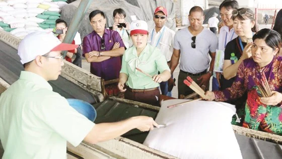 Đại biểu các nền kinh tế thành viên APEC tham quan hoạt động chế biến gạo tại ĐBSCL
