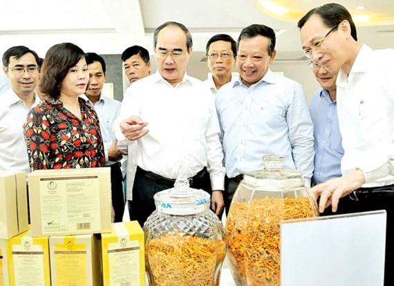 Bí thư Thành ủy TPHCM Nguyễn Thiện Nhân xem sản phẩm nông nghiệp công nghệ cao 