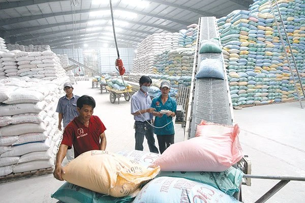 Xuất khẩu gạo: Giảm lượng, tăng chất