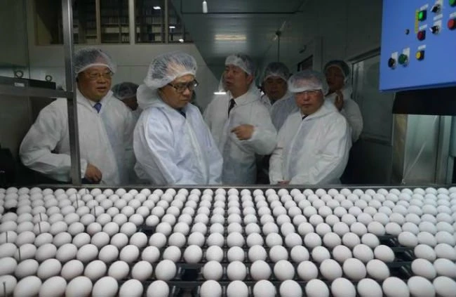Tập đoàn Nhật Bản đưa công nghệ xử lý trứng siêu sạch vào Việt Nam