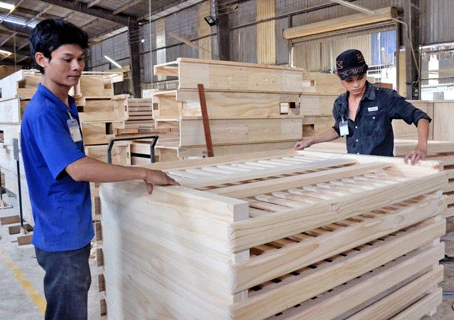 Xuất khẩu gỗ chế biến sang EU sẽ do Việt Nam cấp phép FLEGT