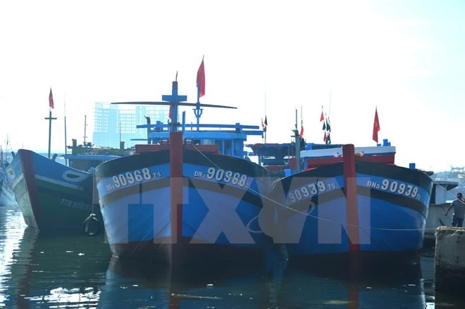 Những tàu cá của ngư dân phường Nại Hiên Đồng, quận Sơn Trà được đóng mới theo Quyết định 47 của thành phố Đà Nẵng. (Ảnh: Đinh Văn Nhiều/TTXVN)
