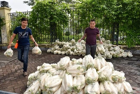 Sinh viên tình nguyện "giải cứu" củ cải cho nông dân. (Ảnh Dân Trí)