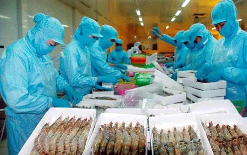Vẫn còn sản phẩm thủy sản xuất khẩu bị trả về đã ảnh hưởng tới hình ảnh, thương hiệu hàng Việt Nam. (Ảnh minh họa: KT)