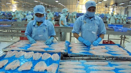 Khuyến cáo kiểm soát chất lượng cá tra xuất sang Trung Quốc