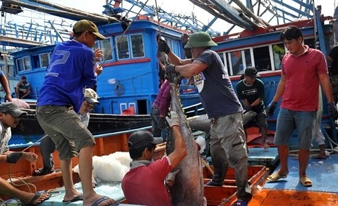 Vì sao EU chưa gỡ “thẻ vàng” cho xuất khẩu thủy sản Việt Nam?