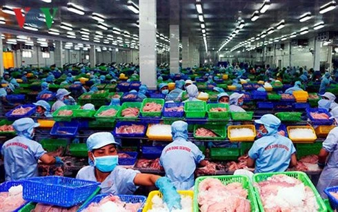 DOC kết luận sơ bộ rà soát thuế chống bán phá giá cá tra-basa Việt Nam