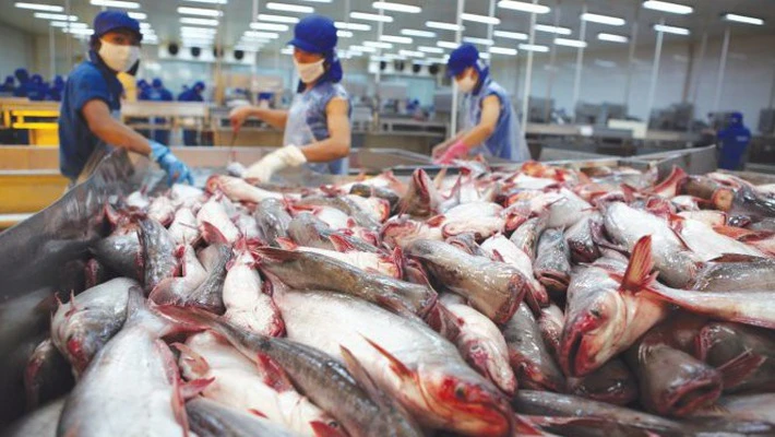 Hệ thống kiểm soát cá da trơn của Việt Nam tương đương với Hoa Kỳ