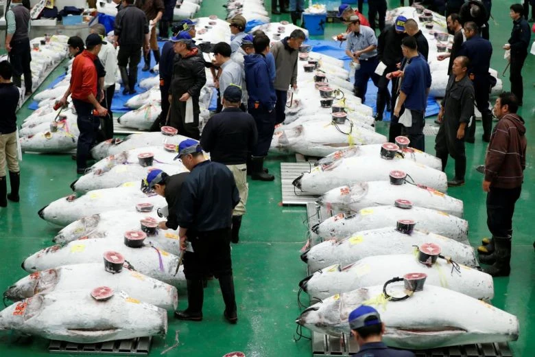 5 tỷ USD xây chợ đấu giá cá Toyosu, Tokyo