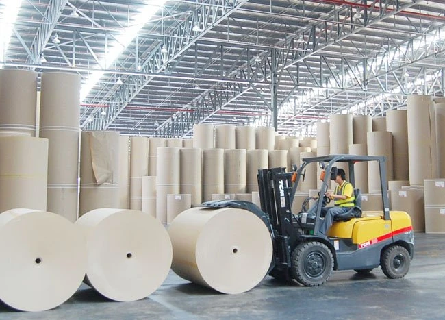 70% sản lượng giấy của Việt Nam sản xuất từ giấy phế liệu