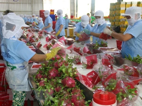 Thay đổi tư duy khi xuất khẩu nông sản vào thị trường Trung Quốc