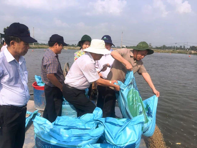 Lãnh đạo Bộ NN-PTNT và lãnh đạo tỉnh An Giang thăm vùng nuôi cá tra chất lượng cao của Công ty CP Nam Việt.