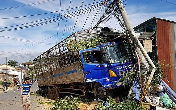 Sau khi tông sập 2 nhà dân, xe tải ủi bay dãy cây và chỉ dừng lại khi tông gãy trụ điện