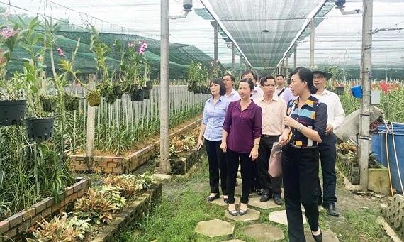 Vườn lan của HTX Hoa lan Huyền Thoại được lựa chọn thí điểm từ nhiều năm qua, nhưng vẫn chưa thu hút nhiều du khách