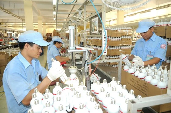 Sản xuất bóng đèn Điện Quang - một thương hiệu Việt. Ảnh: CAO THĂNG