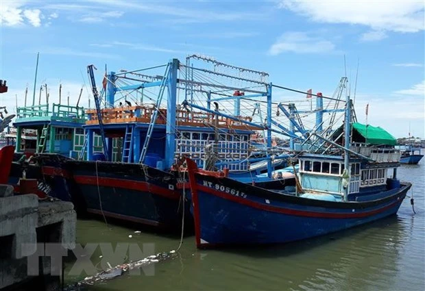Tàu cá của ông Trần Đào (giữa, xã Phước Diêm, huyện Thuận Nam) hành nghề chụp đã nằm tại cảng Cà Ná hơn ba tháng vì hoạt động thua lỗ. (Ảnh: Nguyễn Thành/TTXVN)
