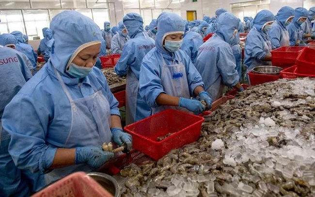 Mỹ công bố chính thức áp thuế chống bán phá giá tôm Việt 0%