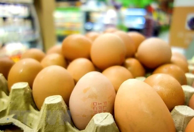 Indonesia tiêu hủy 10 triệu quả trứng để "cứu" giá thịt gà
