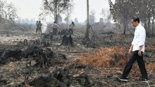 Indonesia: bắt giữ gần 200 người gây cháy rừng