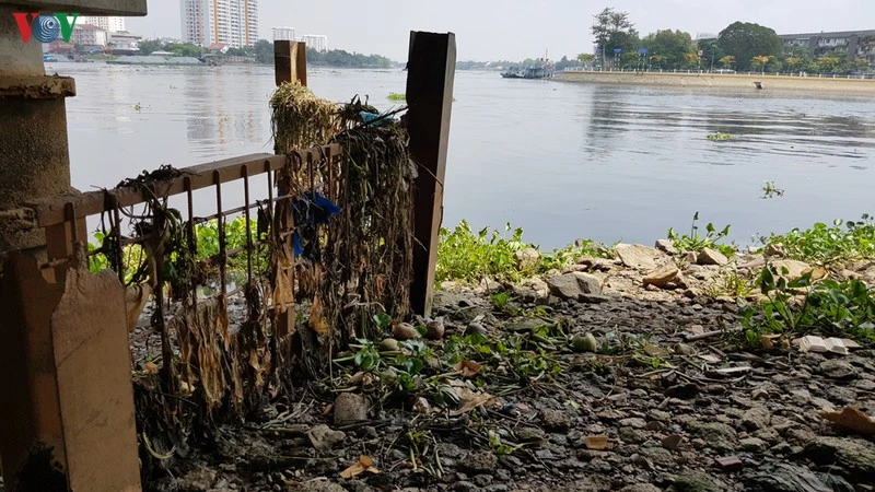 Khi thủy triều xuống, rác thải xuất hiện ở sông Sài Gòn dưới chân cầu Bình Triệu.