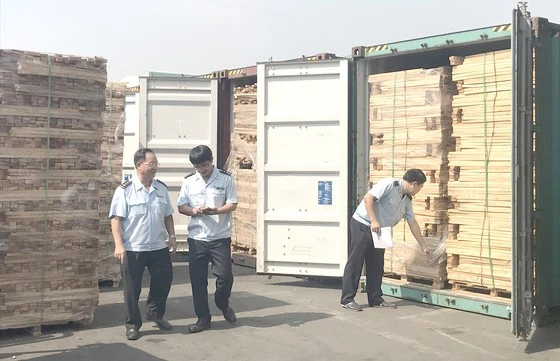 Hải quan TPHCM kiểm tra các container gỗ vi phạm