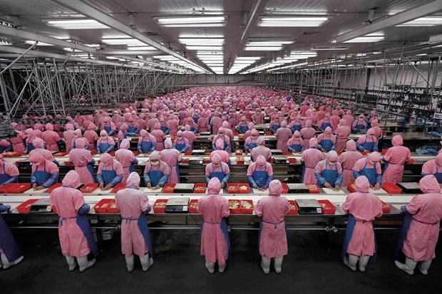 Công nhân làm việc tại một nhà xưởng ở Trung Quốc. (Nguồn: linkedin.com)