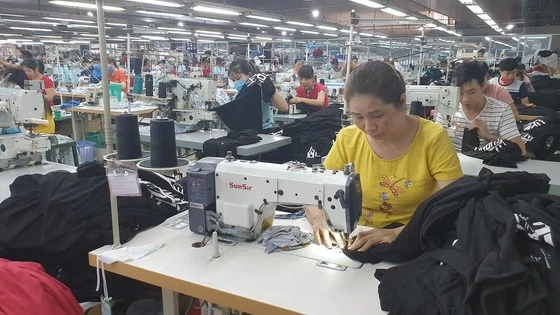 Hoạt động sản xuất tại Công ty TNHH Fly High Garment (quận Gò Vấp, TPHCM)