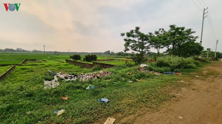 Những lô đất sát ruộng ởQuan Giai, xã Trúc Đồng (huyện Thạch Thất)được các "cò" thổi giá lên 5-6 lần.