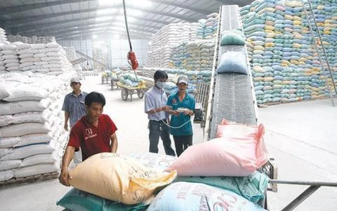 Phó Thủ tướng: Xử lý ngay những bất cập trong xuất khẩu gạo