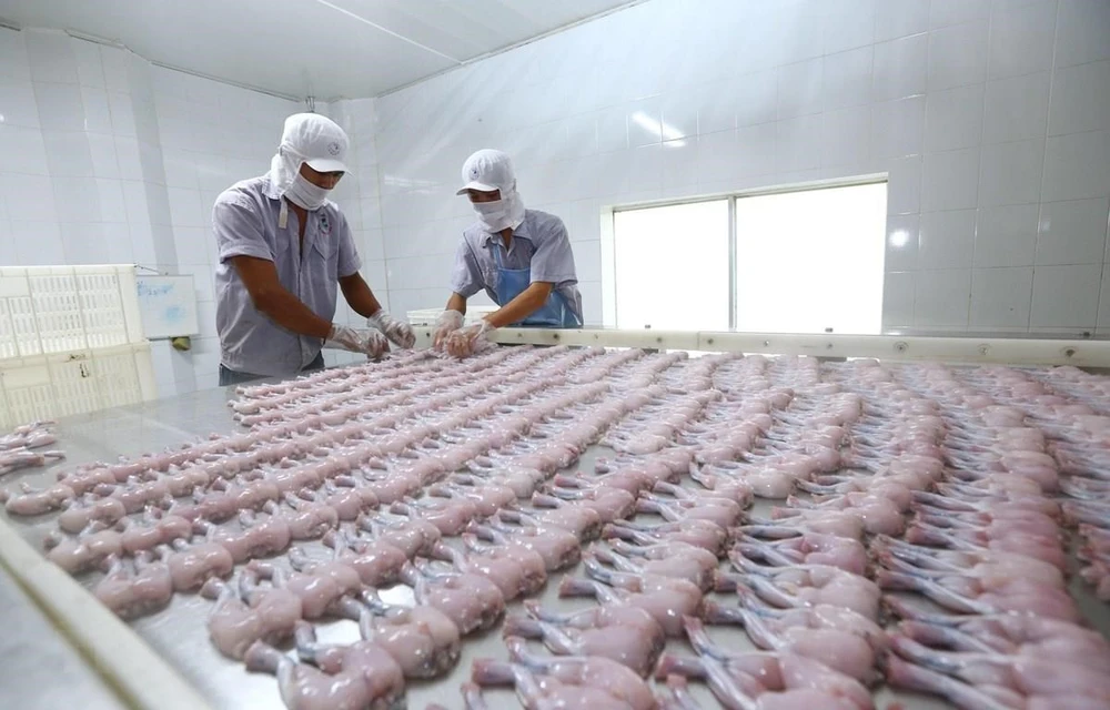 Dây chuyền chế biến thịt ếch xuất khẩu sang EU tại Công ty TNHH Tân Thành Lợi, tỉnh Long An. (Ảnh: TTXVN)
