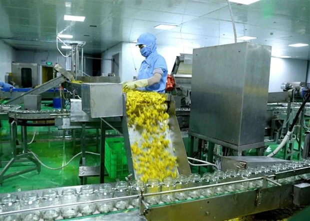 Dây chuyền đóng lọ ớt xuất khẩu tại nhà máy chế biến của Công ty Cổ phần chế biến thực phẩm xuất khẩu GOC. (Ảnh: Vũ Sinh/TTXVN)