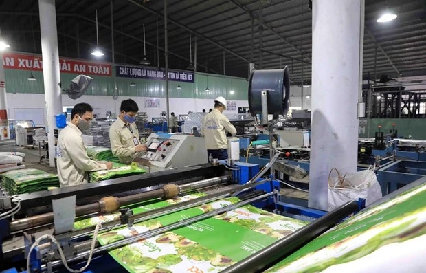 Dây chuyền sản xuất các sản phẩm bao bì tại Công ty Cổ phần bao bì Thuận Đức. (Ảnh: Phạm Kiên/TTXVN)