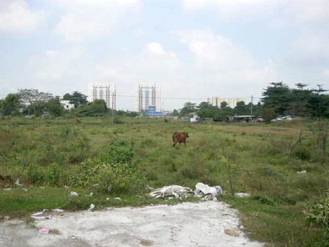 Khu đất giao cho trường trung cấp Phương Nam xây dựng trường (phường Tân Thới Nhất, Quận 12) bị đề xuất thu hồi do không triển khai nhiều năm nay.