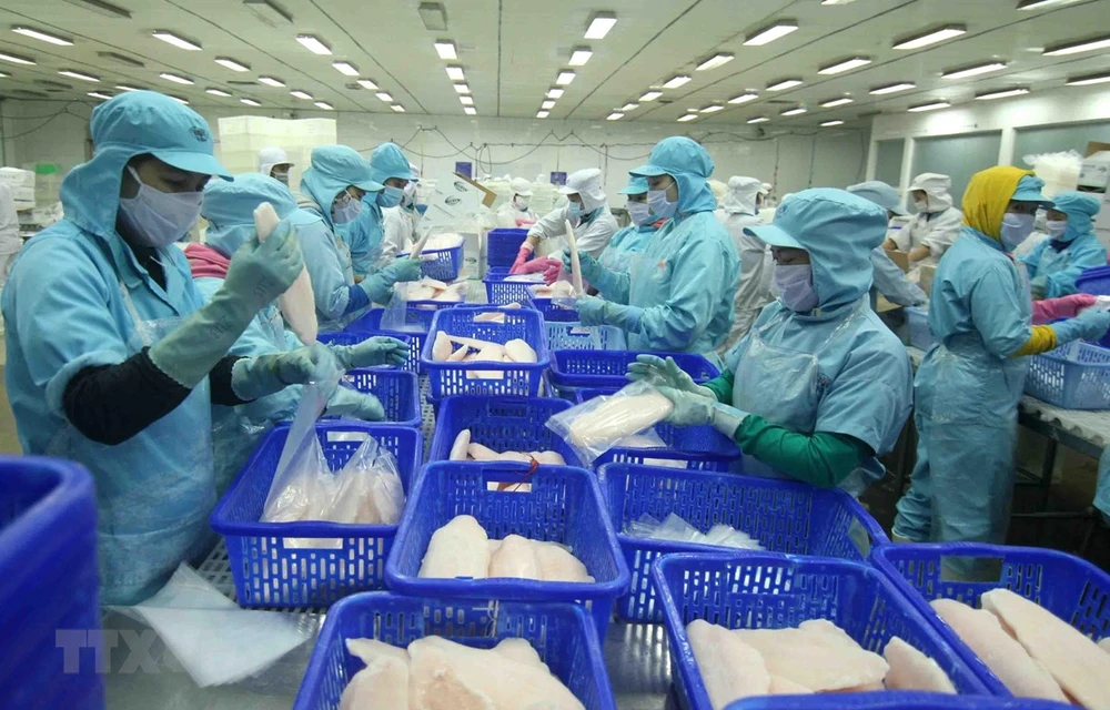 Chế biến cá tra xuất khẩu tại nhà máy của Tập đoàn Sao Mai (tỉnh Đồng Tháp). (Ảnh: Vũ Sinh/TTXVN)