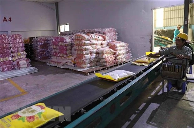 Vận chuyển gạo xuất khẩu tại nhà máy chế biến gạo - Công ty Trách nhiệm hữu hạn Một thành viên Lương thực Thoại Sơn (Tập đoàn Lộc Trời). (Ảnh: Phạm Hậu/TTXVN)