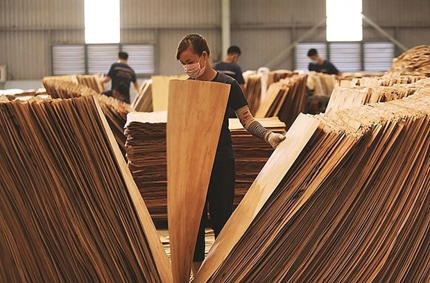 Mỹ gia hạn ban hành kết luận chống lẩn tránh thuế với gỗ dán Việt Nam