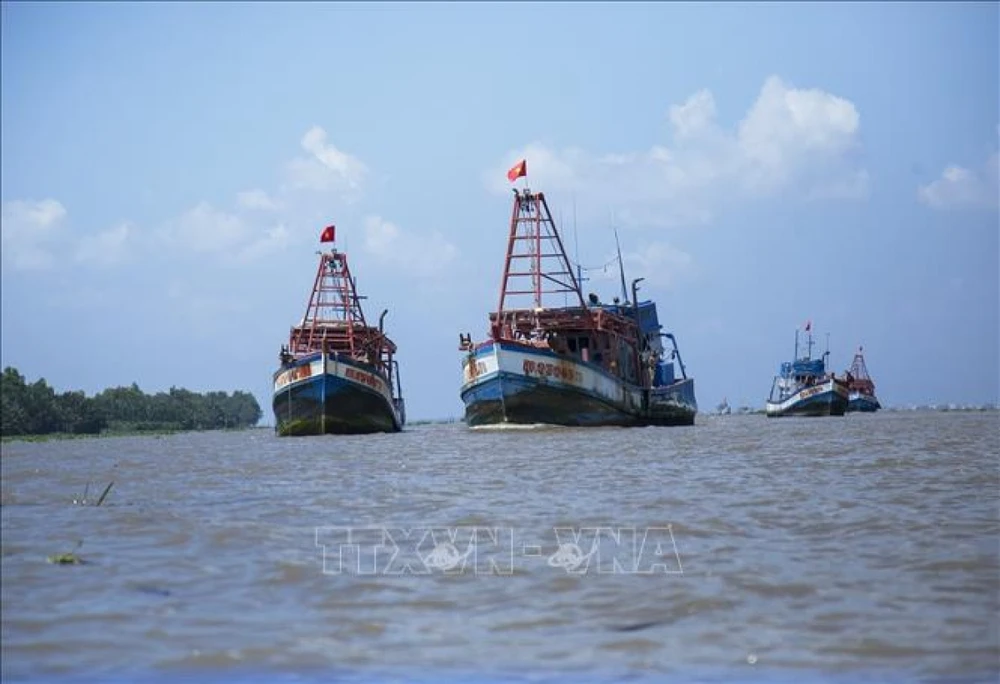 Tàu cá neo đậu trên vùng biển huyện An Biên. Ảnh minh họa: Hồng Đạt/TTXVN