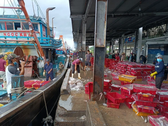Giá xăng dầu lên cao trong khi giá hải sản lại tụt dốc khiến đời sống của ngư dân gặp nhiều khó khăn - Ảnh: MINH CHIẾN