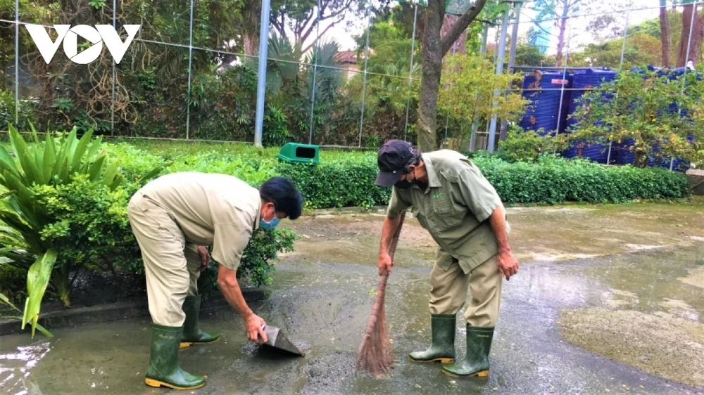 Các nhân viên của Thảo Cầm Viên Sài Gòn đang dọn dẹp, vệ sinh khuôn viên để chuẩn bị mở cửa từ ngày 5/11. (Ảnh: Hoàng Minh)