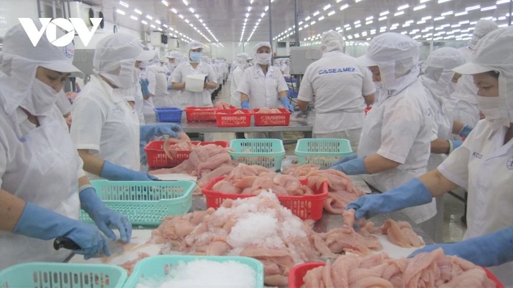 Kim ngạch xuất khẩu cá tra ước đạt 1,5 tỷ USD năm 2021
